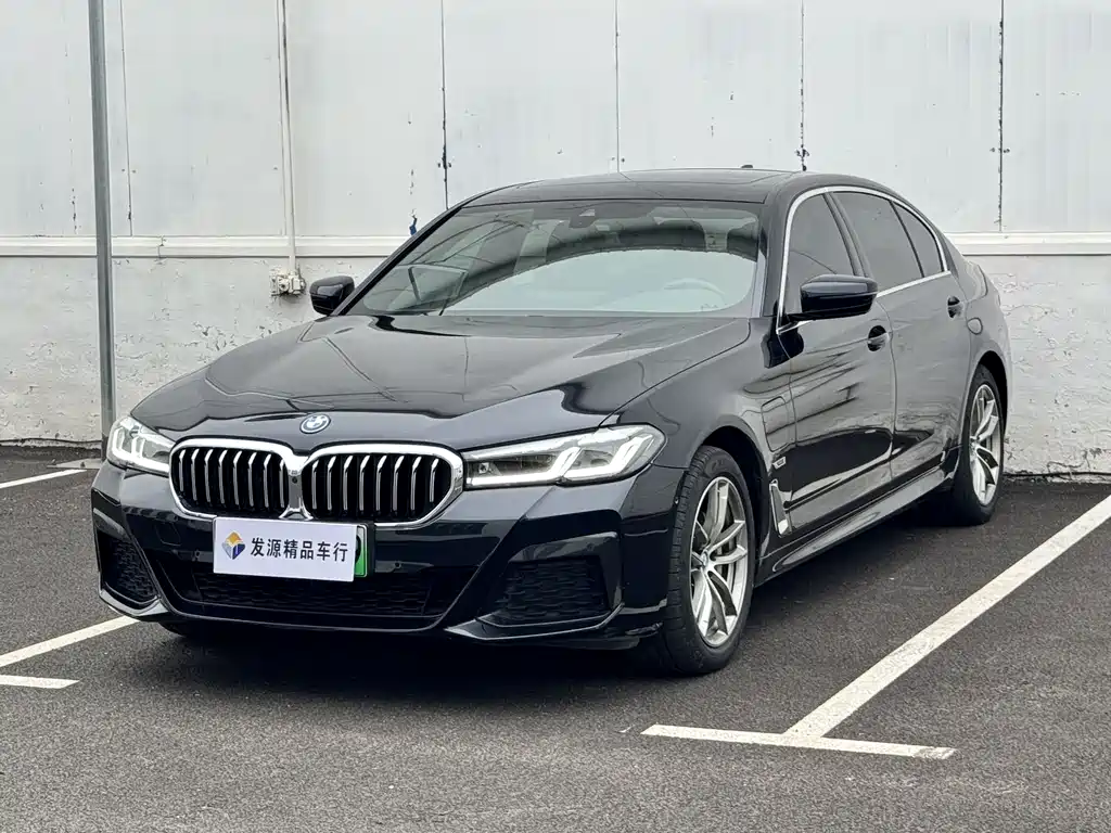 BMW 5 Series New Energy 2023