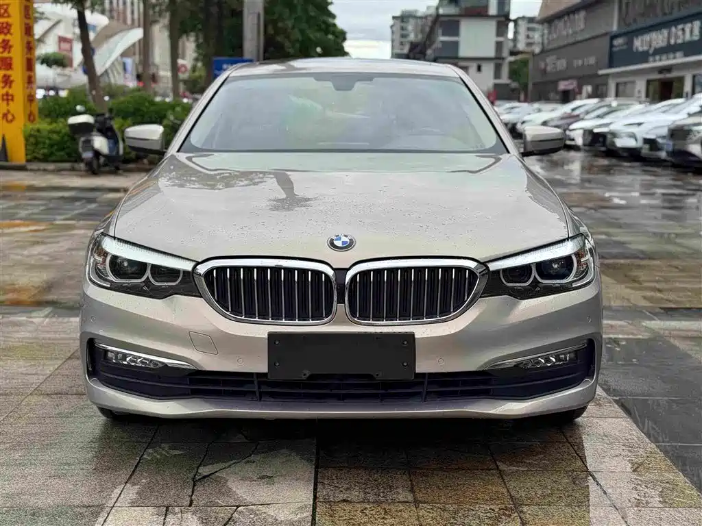 BMW 5 Series 2017 — фото 2