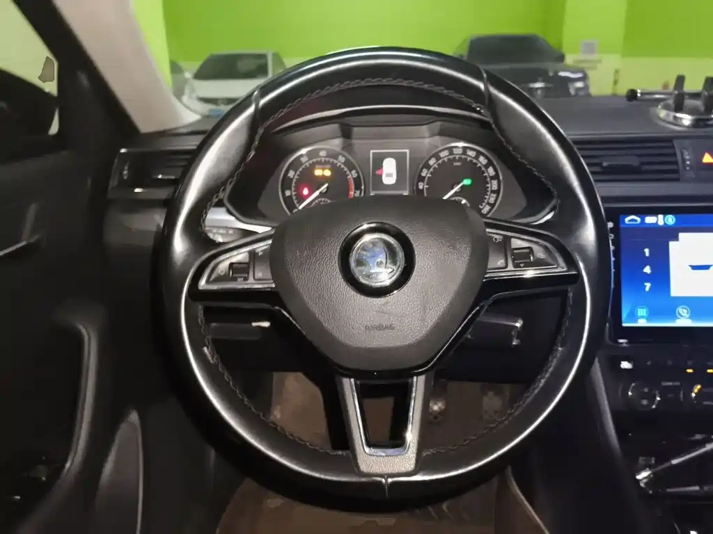 Skoda Speedy 2016