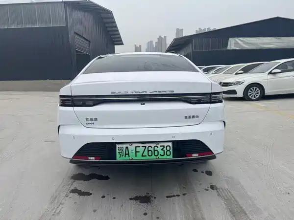 BYD Destroyer 05 2024