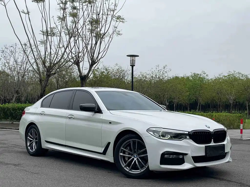 BMW 5 Series 2017 — фото 3