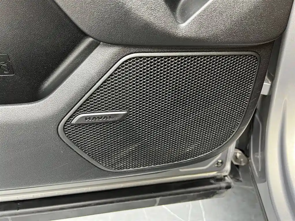 Haval Dargo PLUS 2024 — фото 14