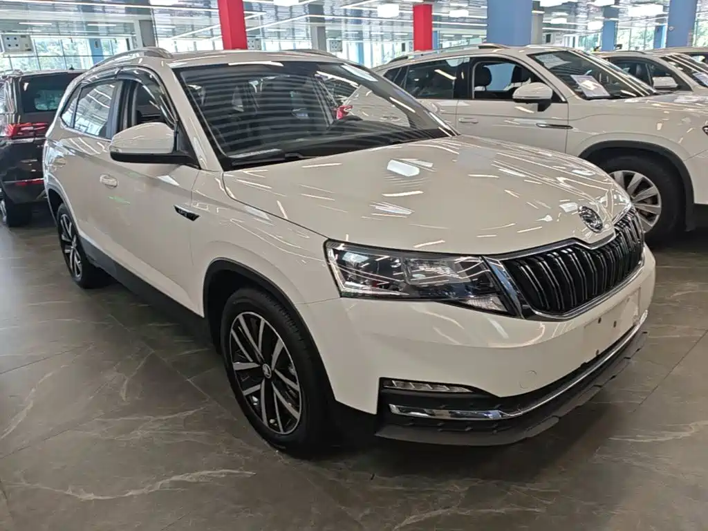 Skoda Kamiq 2024