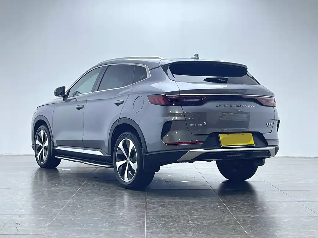 BYD PLUS New Energy 2023 — фото 21