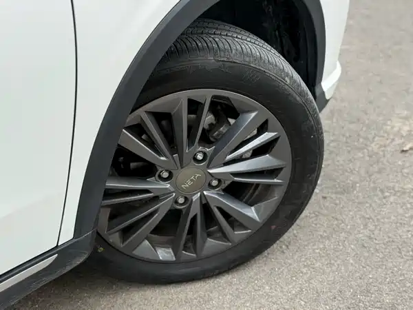 Neta V 2022