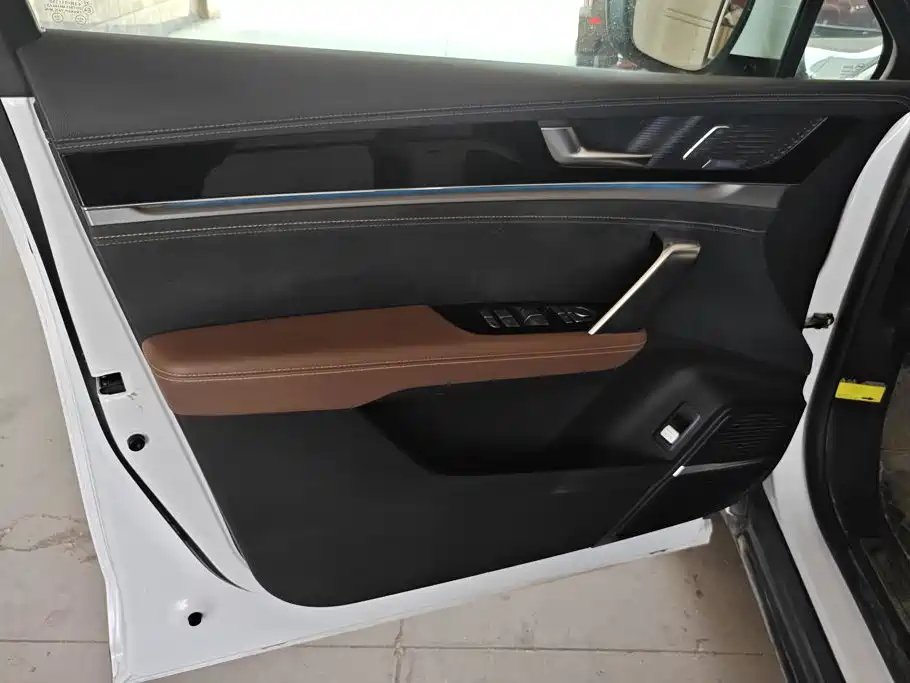 BYD Tang New Energy 2022