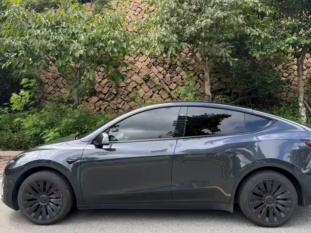 Tesla Model Y 2024 — фото 6