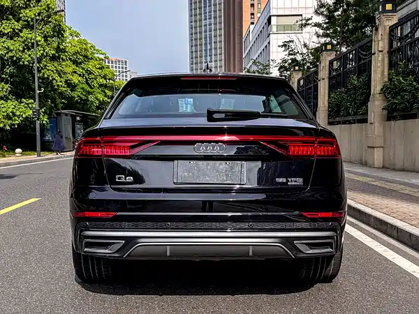 Audi Q8 2019