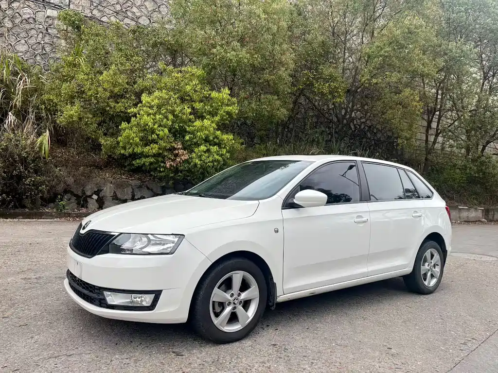 Skoda Rapid Spaceback 2014 — фото 1