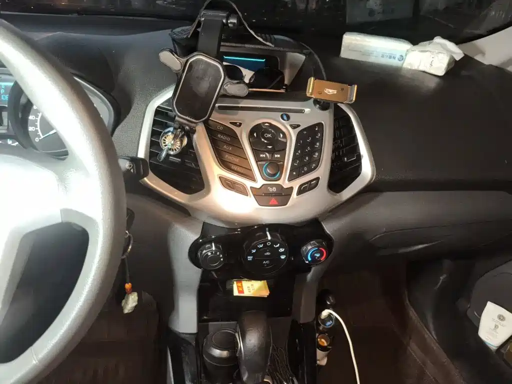 Ford EcoSport 2016 — фото 10