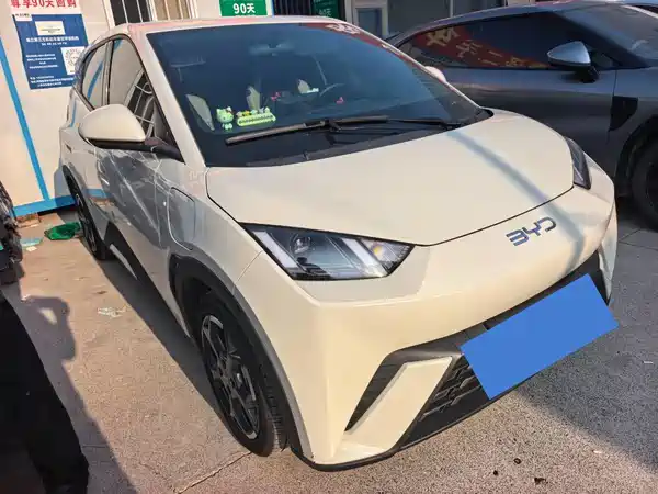 BYD Seagull 2024