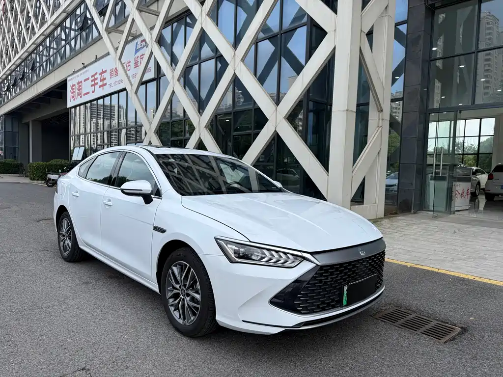 BYD Qin PLUS 2024 — фото 3