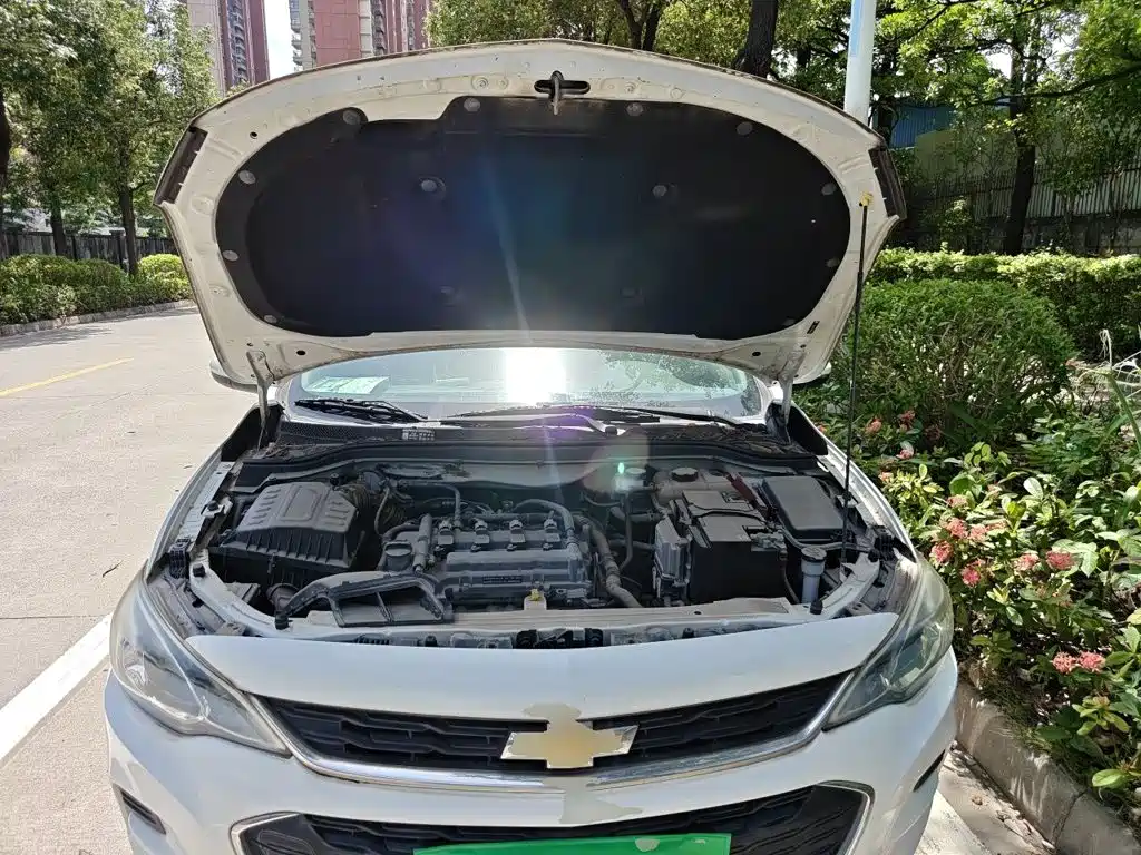 Chevrolet Cavalier 2018 — фото 17