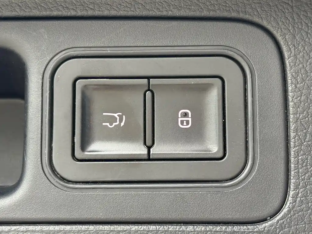 BYD PLUS New Energy 2023 — фото 14