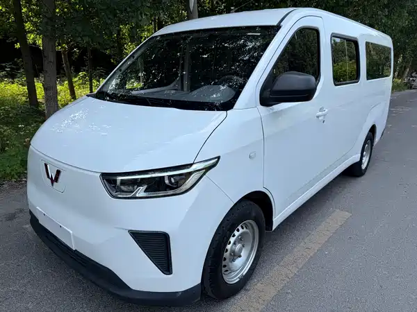 Wuling Yangguang 2024