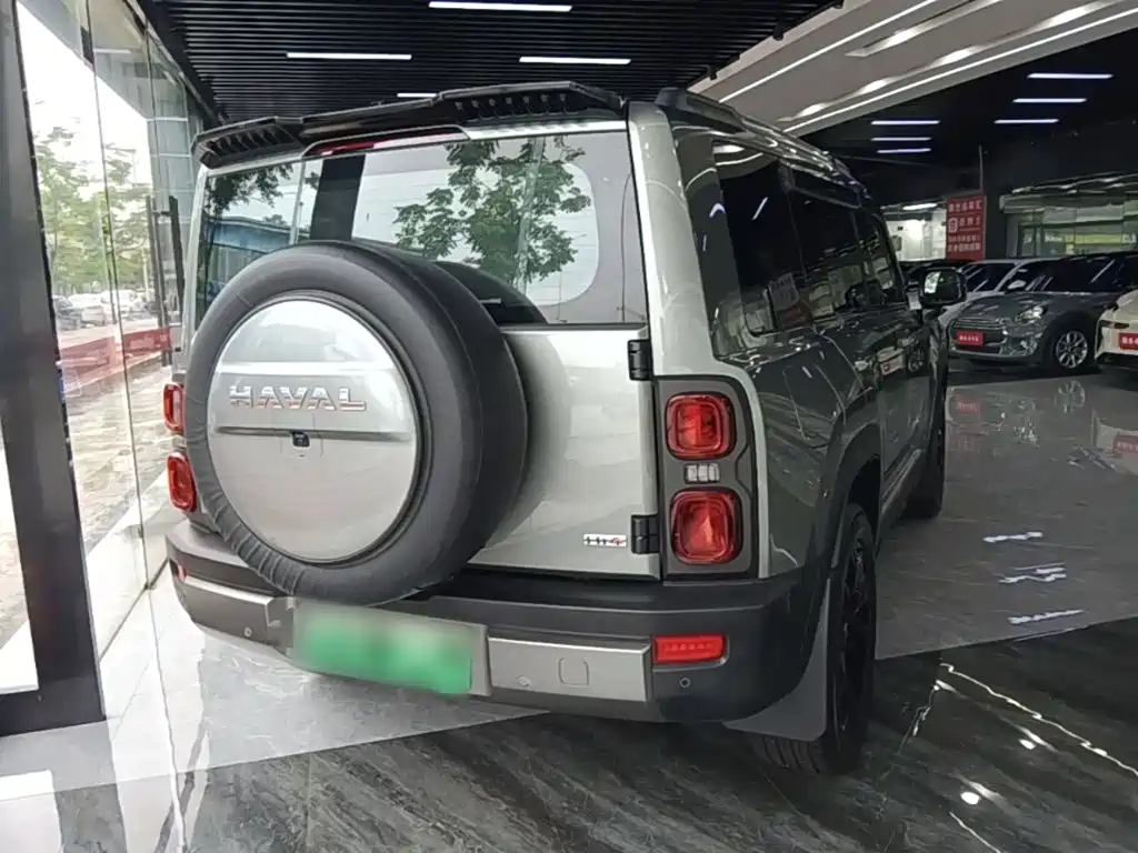 Haval Menglong New Energy 2024