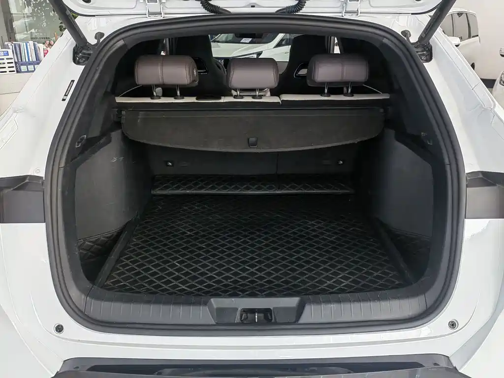 BYD PLUS New Energy 2025 — фото 14