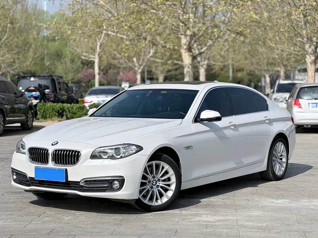 BMW 5 Series 2017 — фото 1