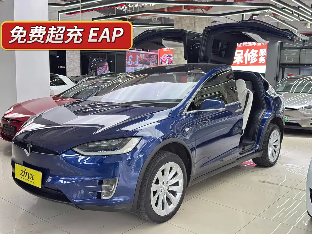 Tesla Model X 2017 — фото 1