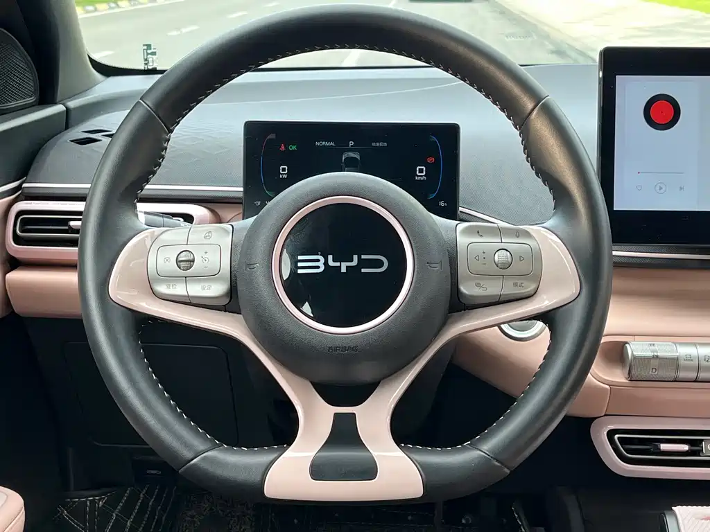 BYD Seagull 2024
