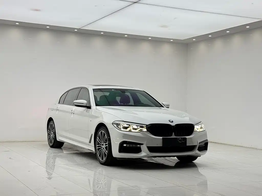 BMW 5 Series 2018 — фото 2