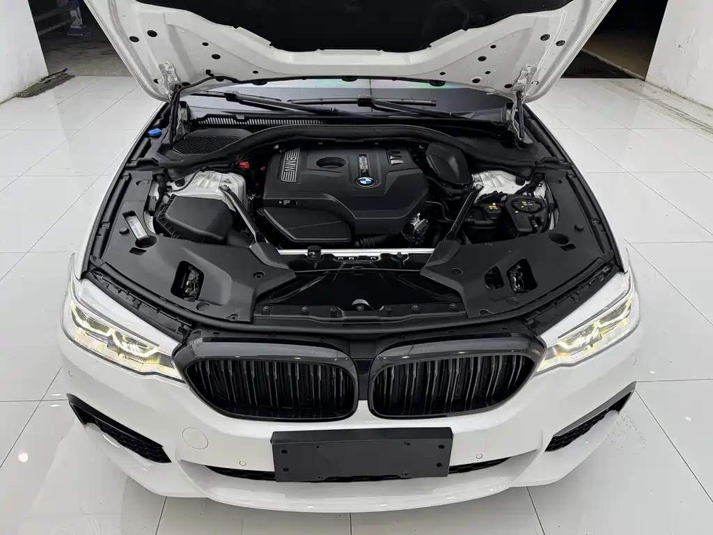 BMW 5 Series 2018 — фото 13