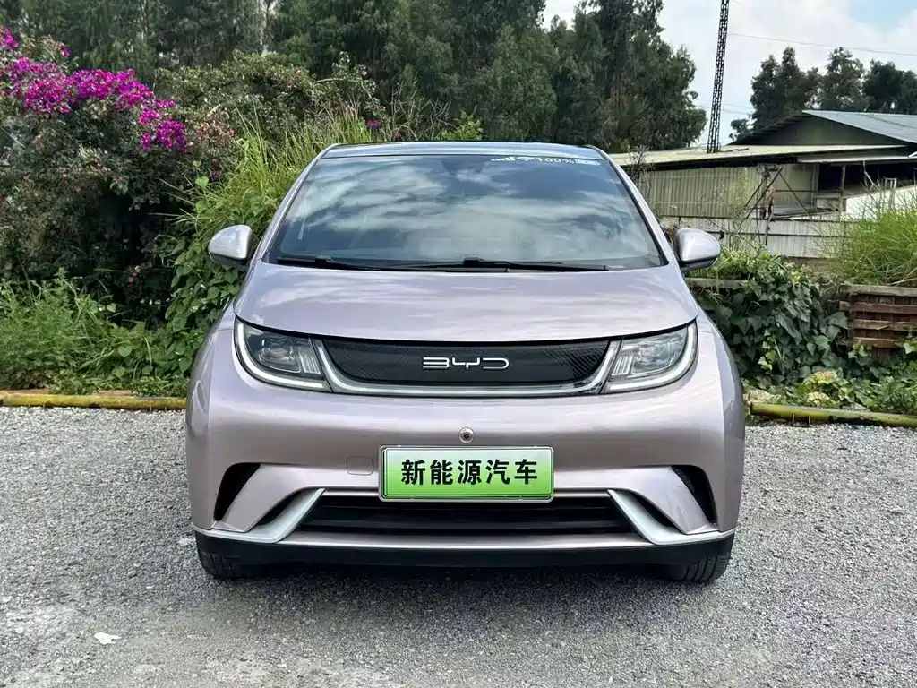BYD Dolphin 2023