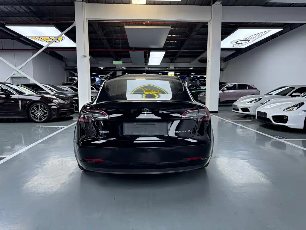Tesla Model 3 2021 — фото 10
