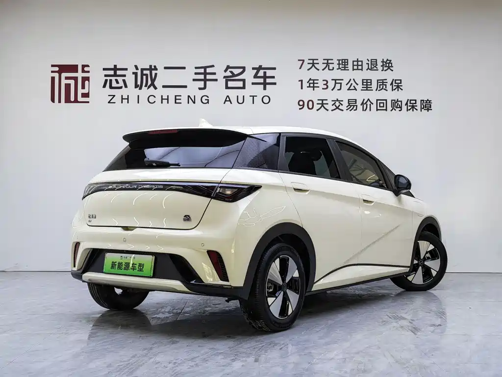 BYD Dolphin 2024