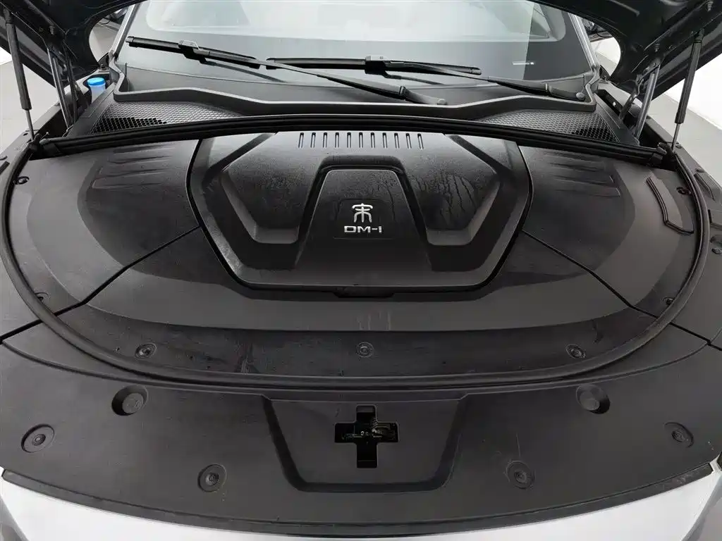 BYD PLUS New Energy 2023 — фото 6