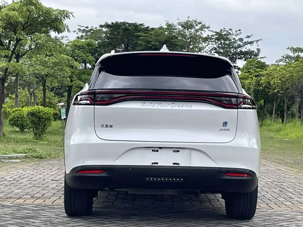 BYD Tang New Energy 2019 — фото 8