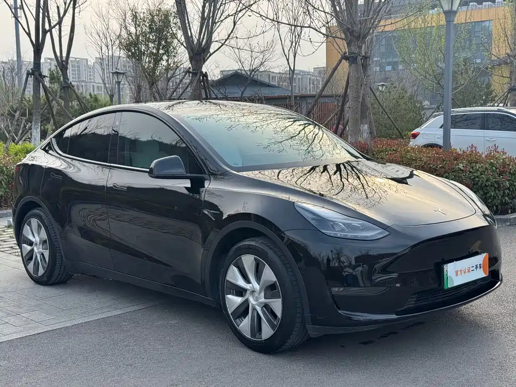 Tesla Model Y 2021 — фото 3