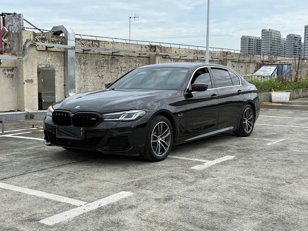 BMW 5 Series New Energy 2022