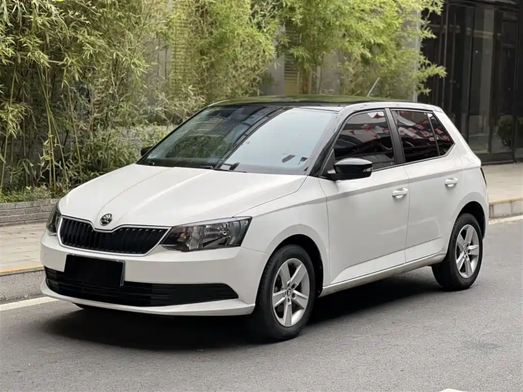 Skoda Fabia 2019 — фото 1
