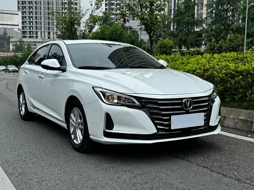 Changan Ruicheng CC 2020 — фото 3