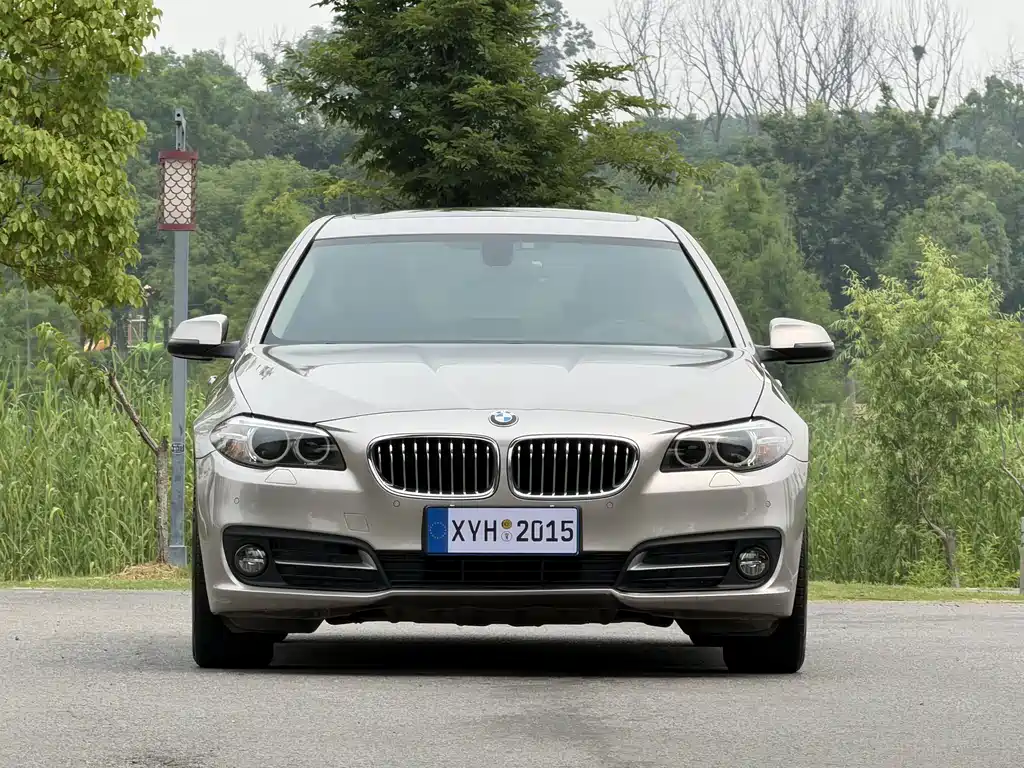 BMW 5 Series 2015 — фото 2