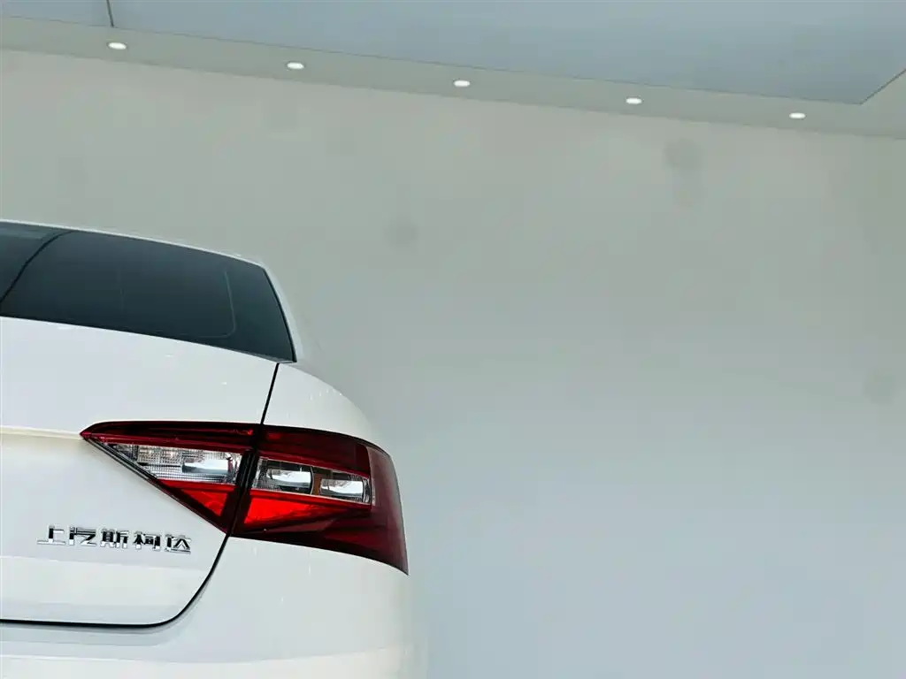 Skoda Speedy 2016 — фото 11
