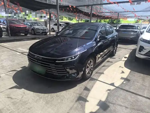 BYD Destroyer 05 2024
