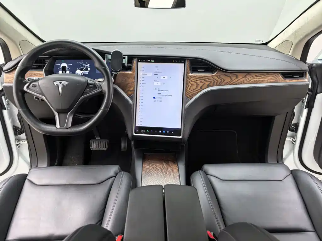 Tesla Model X 2019 — фото 6