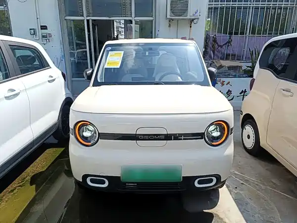 Geely Galaxy Panda 2026