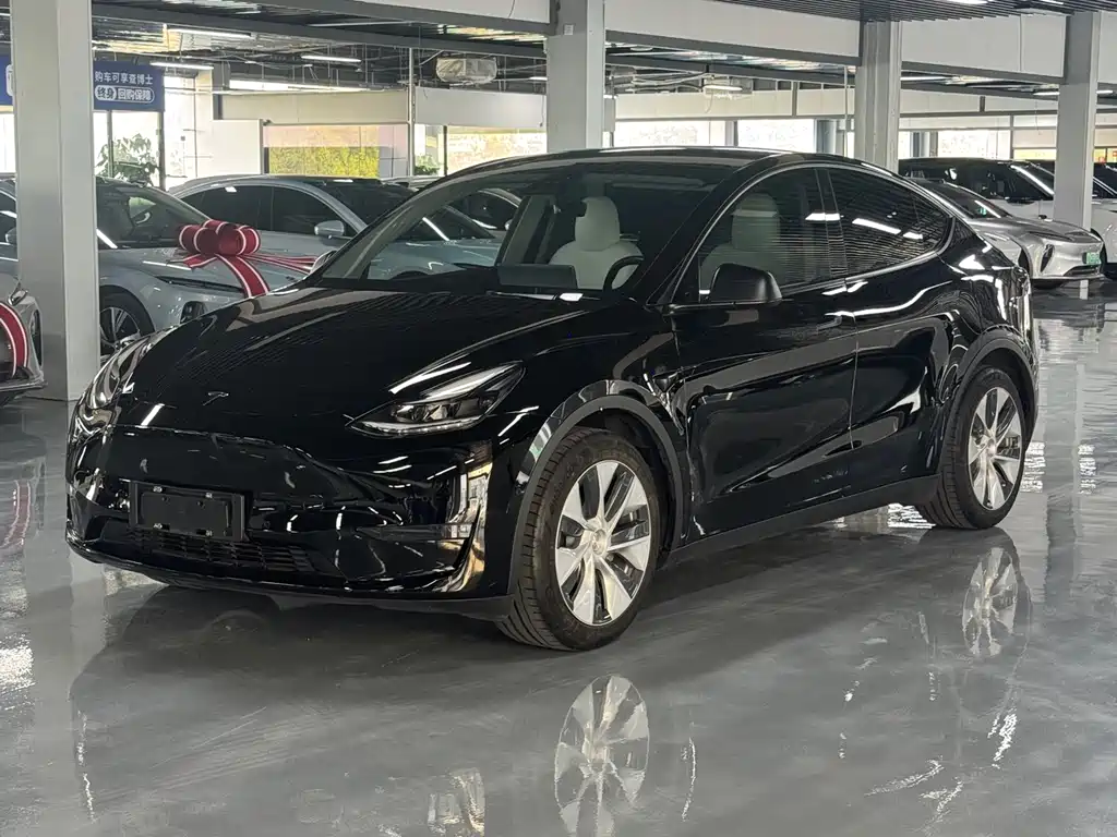 Tesla Model Y 2021 — фото 1