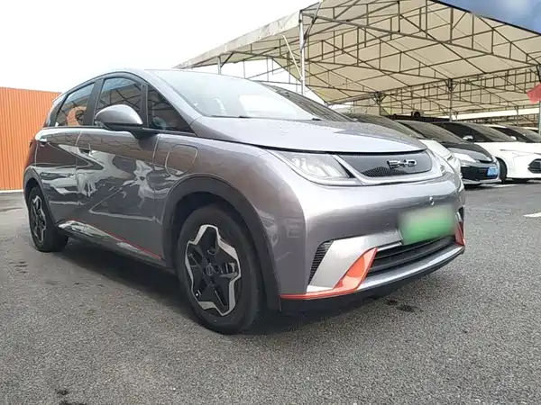BYD Dolphin 2022