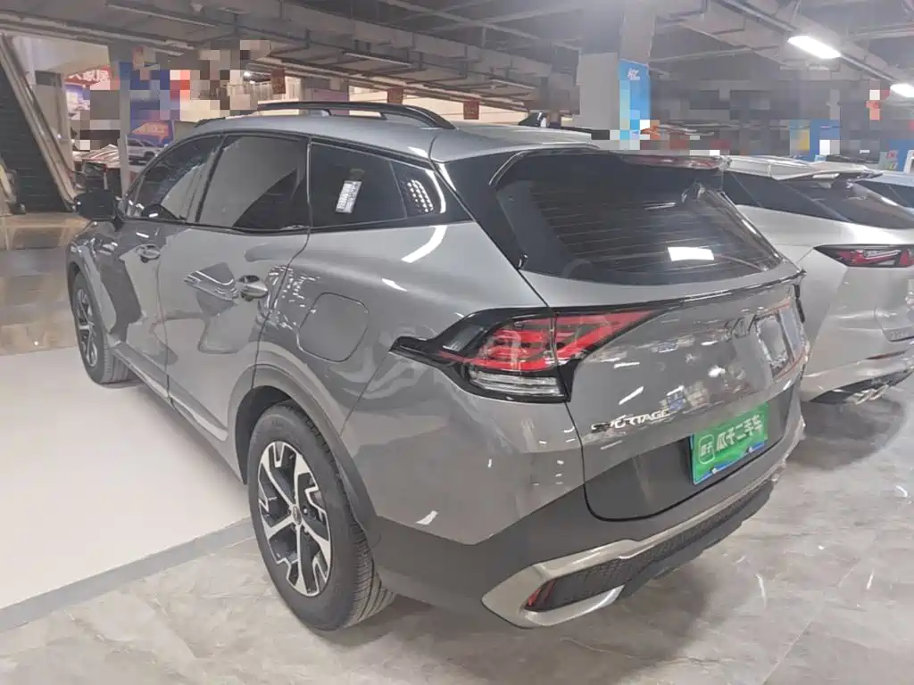 Kia Lion Platinum Expands The Boundary 2024 — фото 5