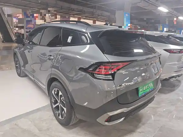 Kia Lion Platinum Expands The Boundary 2024