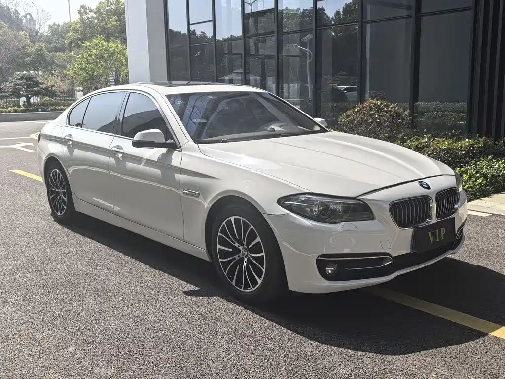 BMW 5 Series 2017 — фото 3
