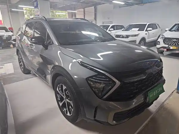 Kia Lion Platinum Expands The Boundary 2024