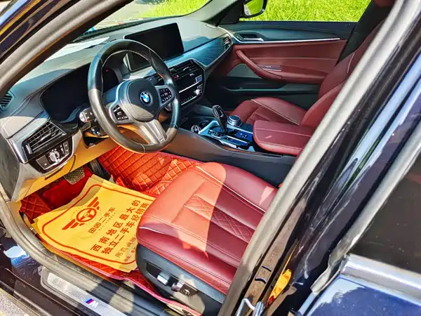 BMW 5 Series New Energy 2021