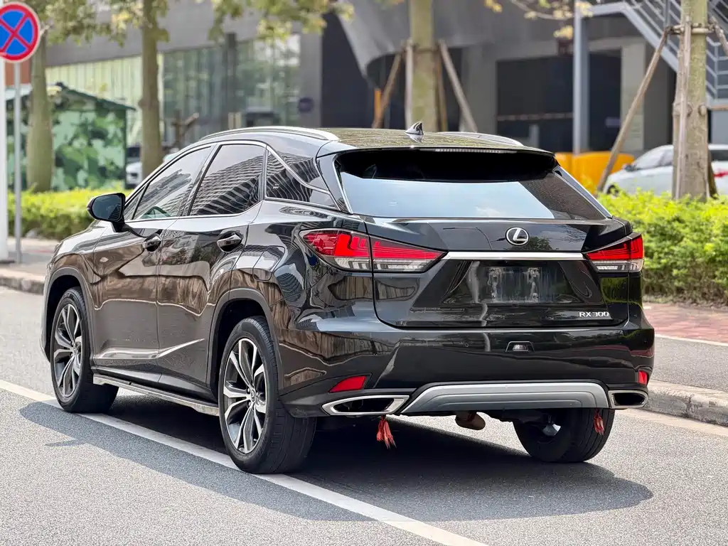Lexus RX 2020 — фото 8