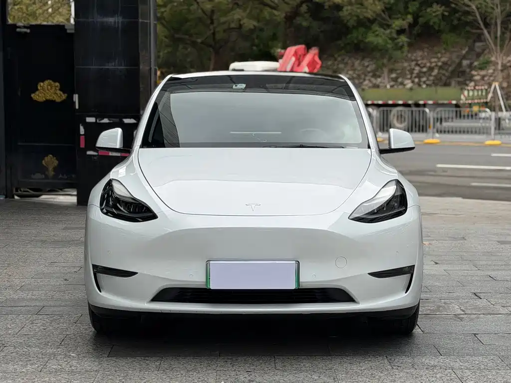 Tesla Model Y 2021 — фото 2