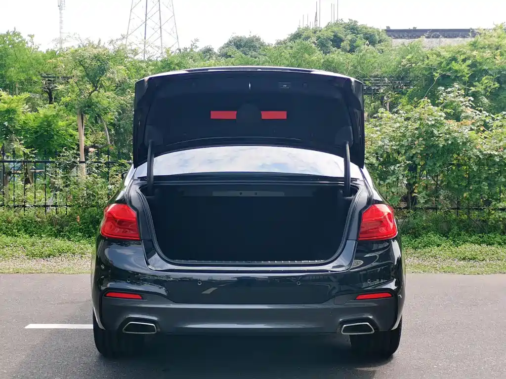 BMW 5 Series 2020